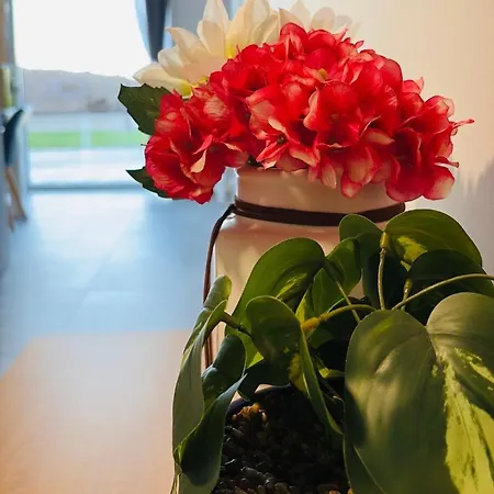 בית נופש Maison Muguet 4 Spa-parking-colmar Wickerschwihr