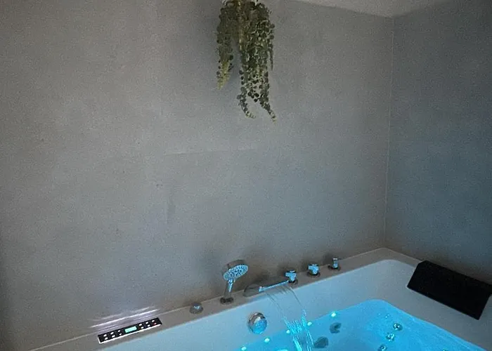 Maison Muguet 4 Spa-parking-colmar Wickerschwihr
